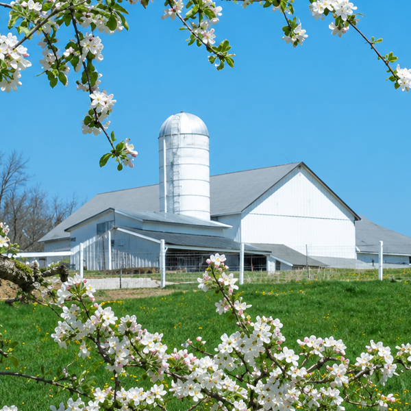 jb-tours-amish-2026-2