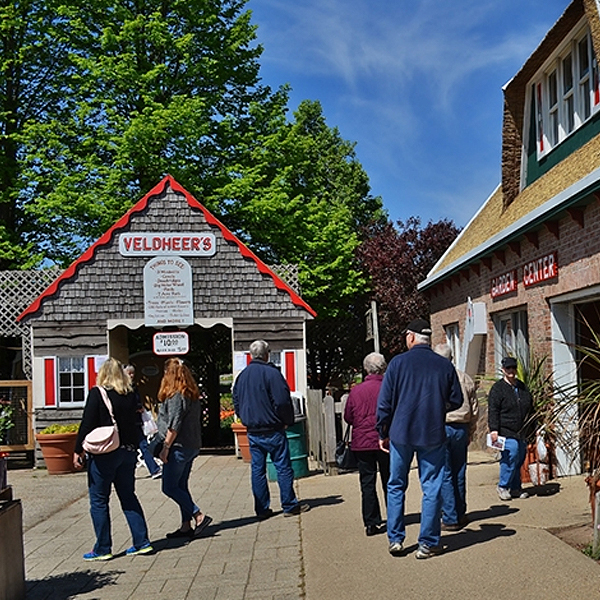 jb-tours-holland-tulip-festival-2026-4